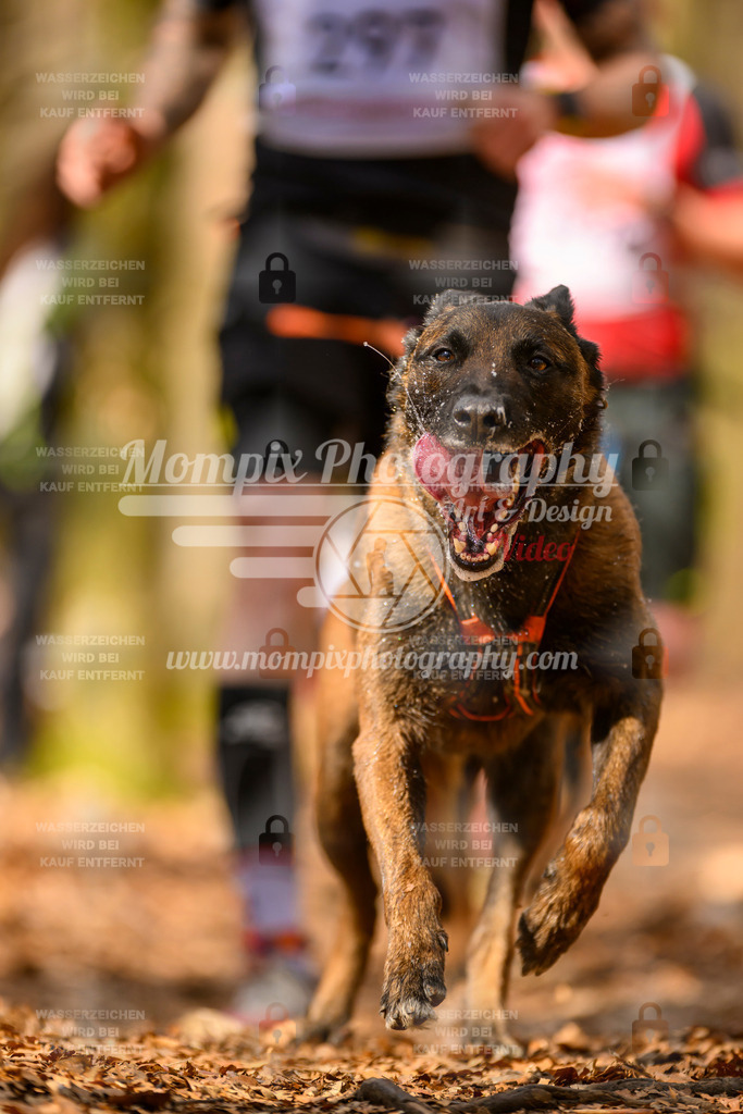 MompixPhotography_Habay2025_SA_CCC-144 | PayLife