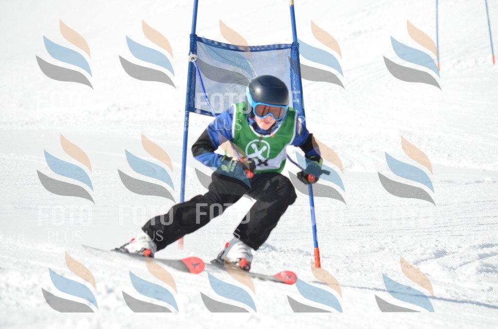 D8766 | holidayphoto