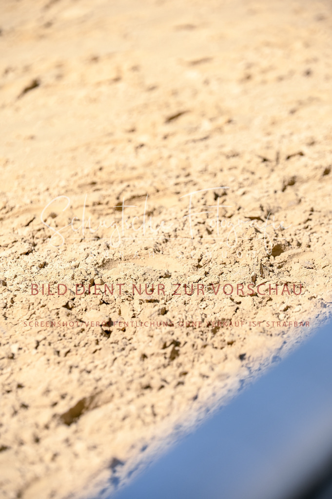 Schugtsche-Aluta25-50.Dressurpferdeprf.L-130 | Schugtsche Fotografie - Realisiert mit Pictrs.com