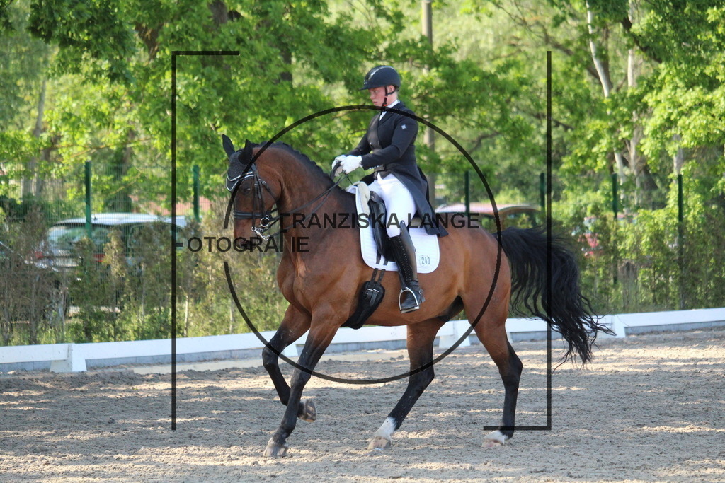 IMG_5642 | franziskalange - Realisiert mit Pictrs.com