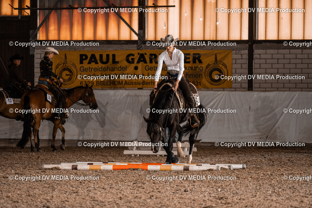 ZH300229 | dv-media-shop - Realisiert mit Pictrs.com