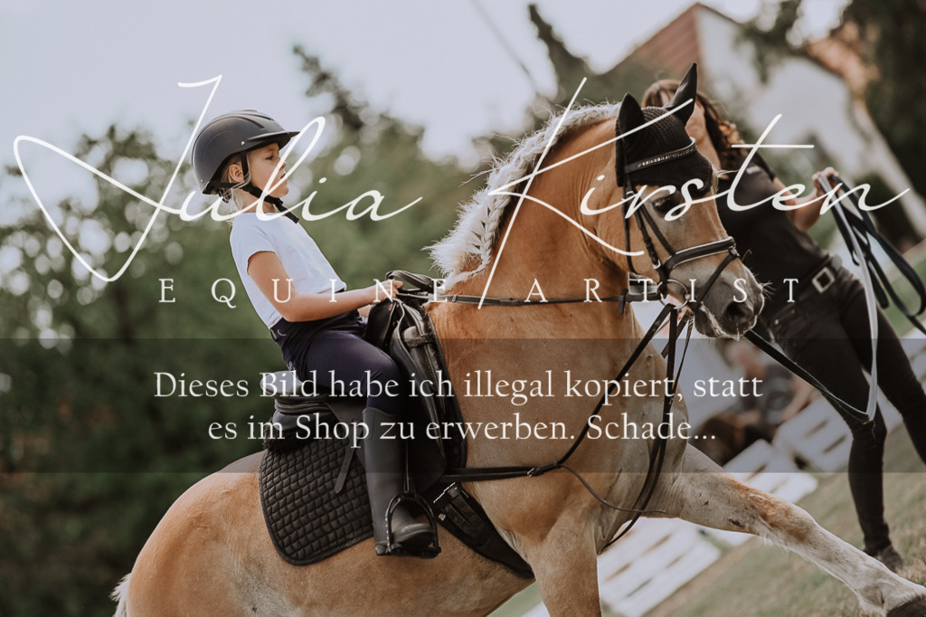 DSC_7697 | Pferde- und Turnierfotografie in Westsachsen. Pferdeportraits, Auftragszeichnungen und intuitive Kunst.
