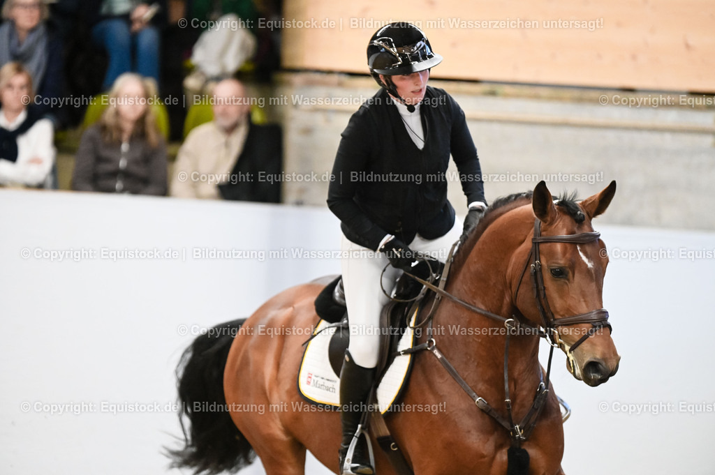 20260307_Hengstvorstellung-Marbach_0044 | equistock