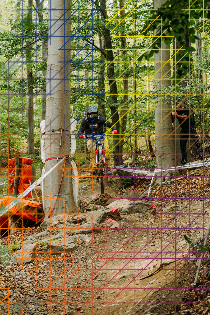 PAE-2221 | Einzigartige Fotokunst für dein Zuhause: Entdecke hochwertige Wandbilder, edle Prints und emotionale Motive von Wildlife, Natur und Landschaften - Realisiert mit Pictrs.com