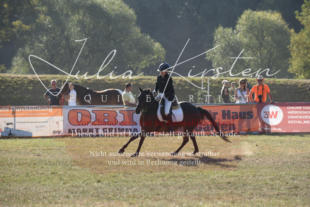 DSC_5622 | Pferde- und Turnierfotografie in Westsachsen. Pferdeportraits, Auftragszeichnungen und intuitive Kunst.