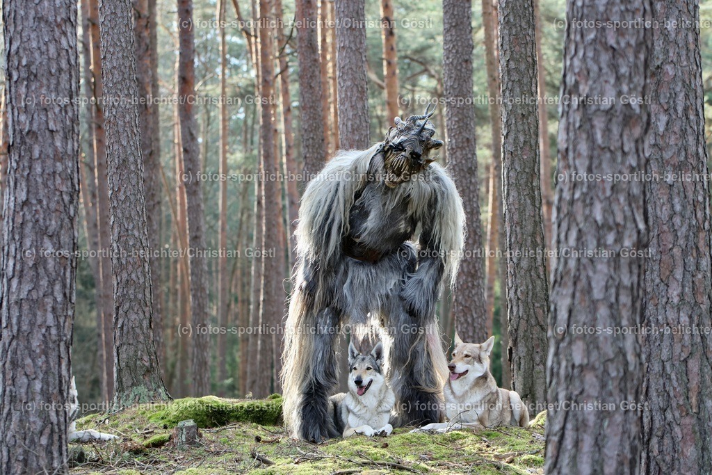 2X5A3415 | fotos-sportlich-belichtet - Realisiert mit Pictrs.com