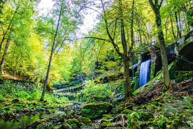 _DSC5603 | Shop für Prints Landschaftsfotografie Sächsische Schweiz Naturfotografie in Thüringen Fotos vom Findlingspark Nochten Kloster Sankt Marienstern Bilder Festung Königstein PanoramaRhododendronpark Kromlau FotogalerSchleswig-Holstein Küstenlandschaften
