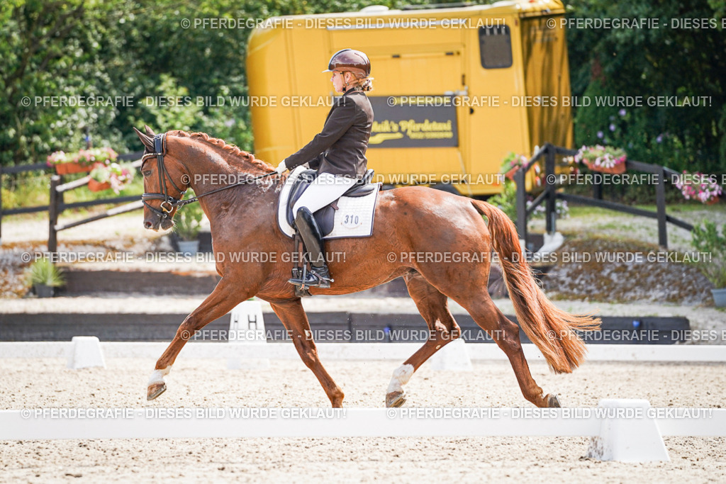 DSC09909 | Pferdegrafie