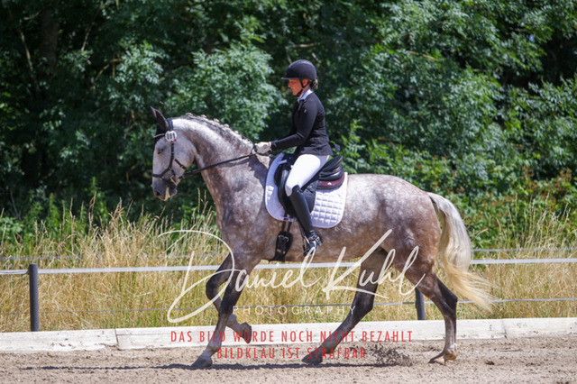 DKP46306 | Turniersportfotografie; Pferdefotografie; Dressurfotografie