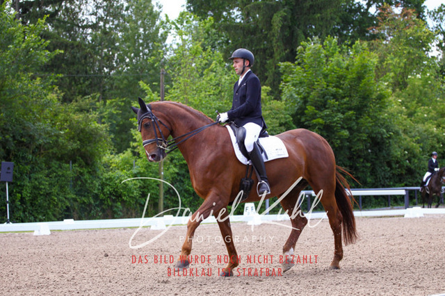 DKP40897 | Turnierfotos kaufen im Webshop von Daniel Kuhl Photography – entdecke professionelle Reitsportfotos aus Turnieren & Events. Hochwertige Turnierbilder online bestellen & sichern. Jetzt Fotos von Reitsportturnieren kaufen!