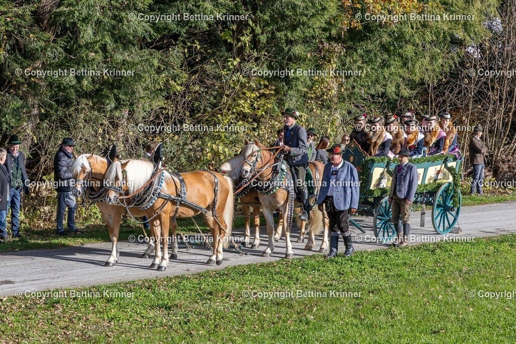 LBT24-586 | foto-bettina-krinner - Realisiert mit Pictrs.com