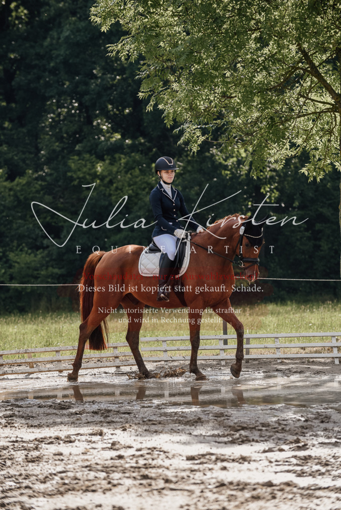DSC_8863 | Pferde- und Turnierfotografie in Westsachsen. Pferdeportraits, Auftragszeichnungen und intuitive Kunst.