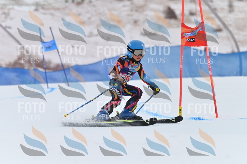 BGV_0064 | holidayphoto