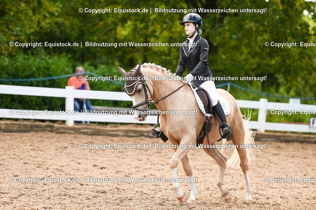 20230716_04_Dressurreiterprüfung Kl.A_0352 | equistock