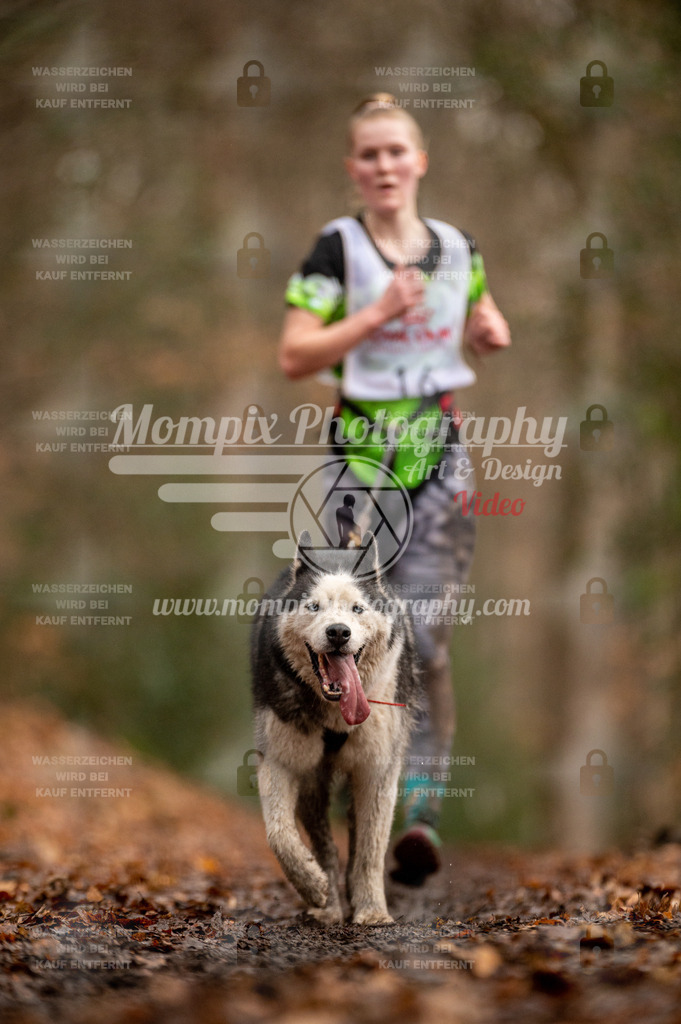 SPA_2023_DIM_CCL-70 | PayLife