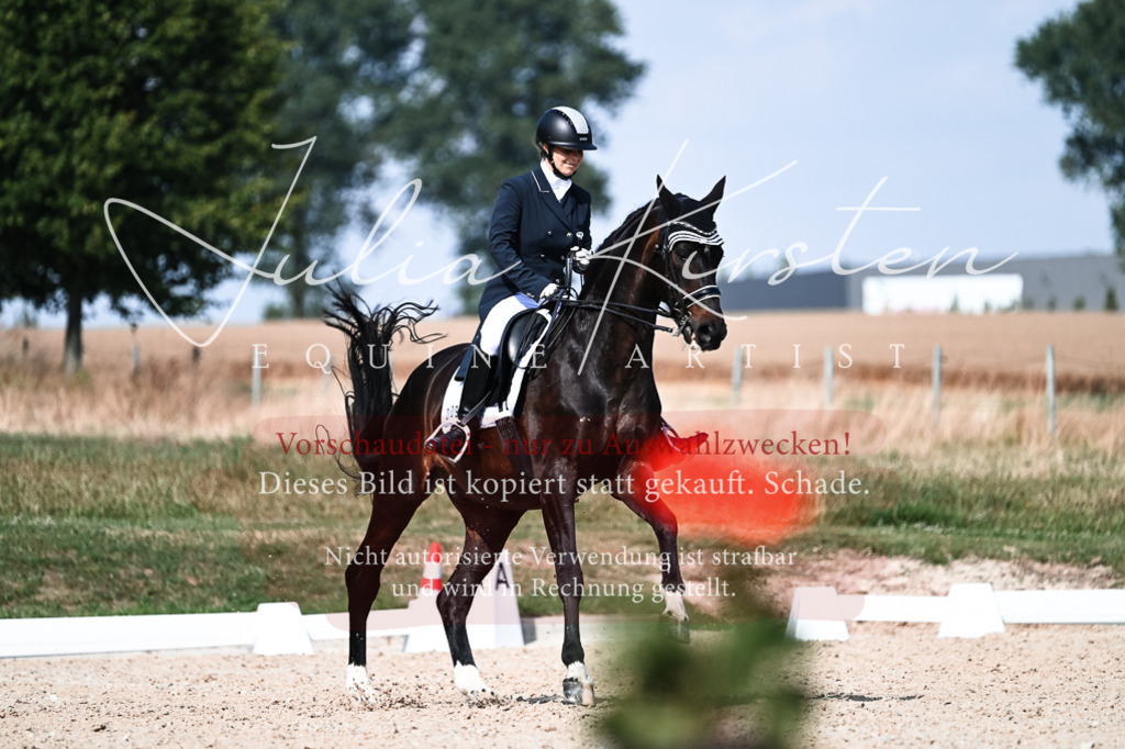 DSC_3312 | Pferde- und Turnierfotografie in Westsachsen. Pferdeportraits, Auftragszeichnungen und intuitive Kunst.