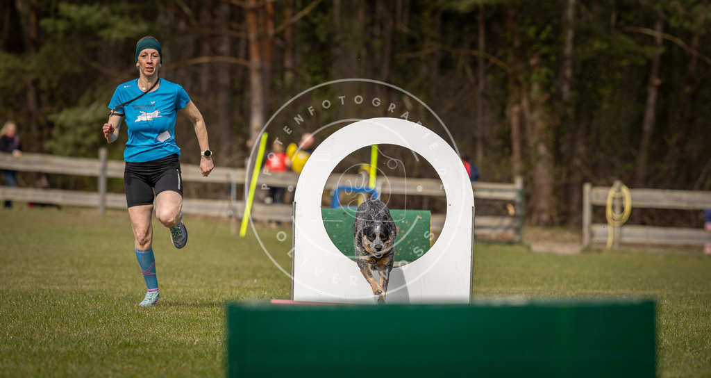 Pfotenfotografie_DV3A8576 | Hundefotografie, Tierfotograf, Pfotenfotografie, Fotoshooting Hund, Hunde Portrait, Hundesport, Hundeportraits, Heideshooting, Hunde, Sportfotograf, Hundefotograf, Turnierhundsport, THS,  - Realisiert mit Pictrs.com