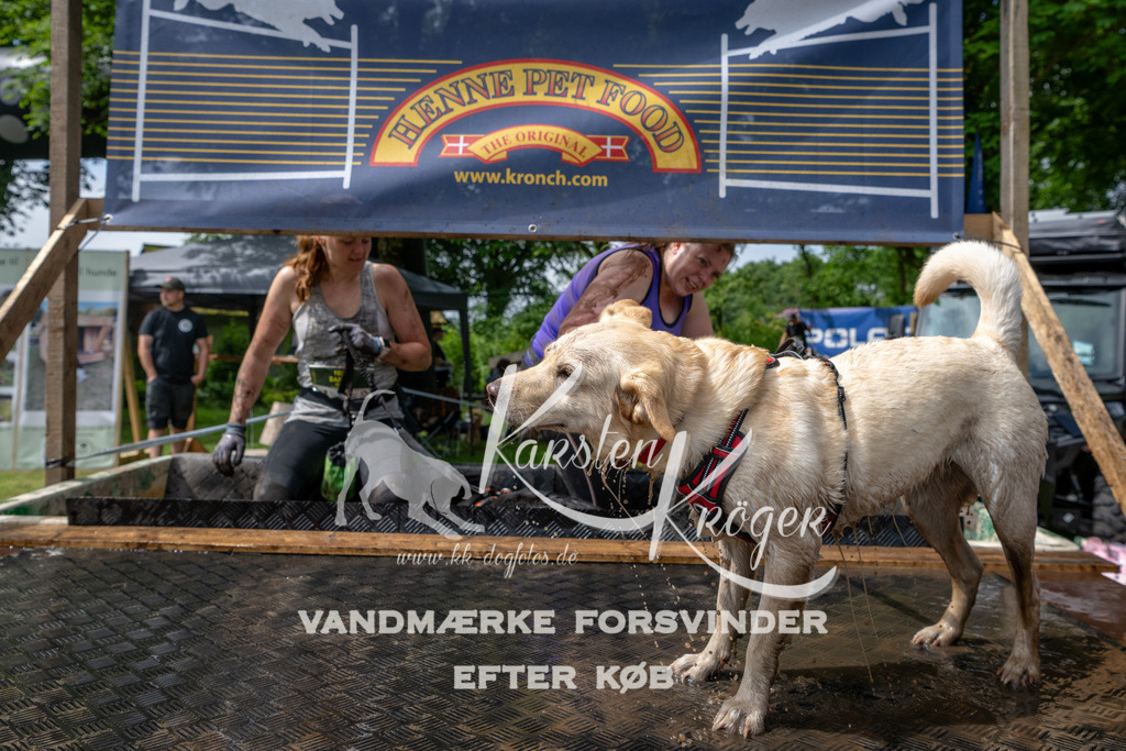 1056_ZZ92061 | kk-dogfotos