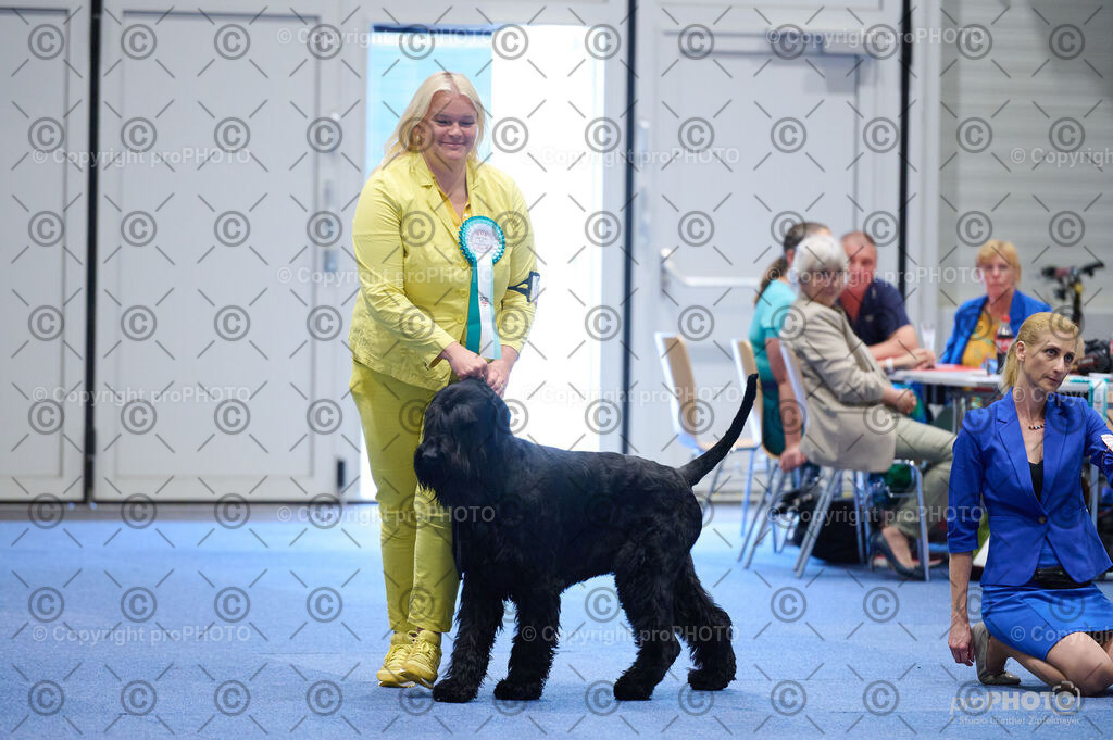 202406_ÖKV-IHA-Tulln24_DSC_2913 | proPHOTO - Realisiert mit Pictrs.com