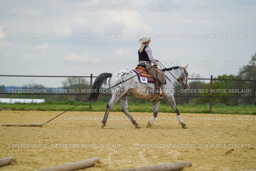 DSC07056 | Pferdegrafie