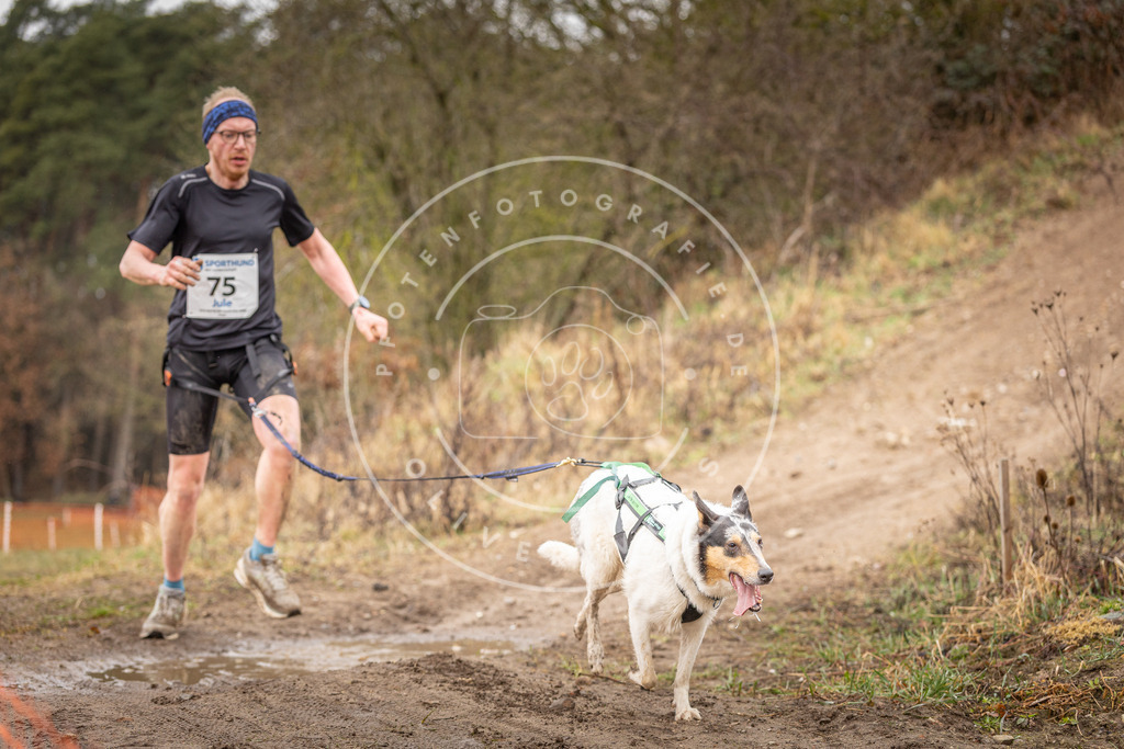 DV3A0266 | Hundefotografie, Tierfotograf, Pfotenfotografie, Fotoshooting Hund, Hunde Portrait, Hundesport, Hundeportraits, Heideshooting, Hunde, Sportfotograf, Hundefotograf, Turnierhundsport, THS,  - Realisiert mit Pictrs.com