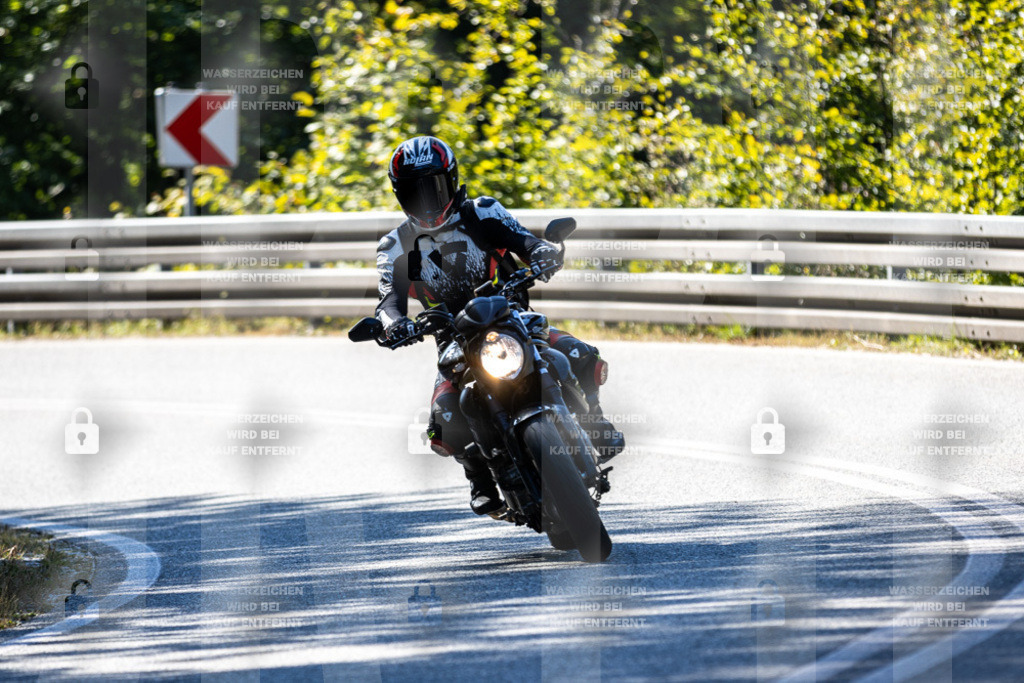 IMG_3311 | jrph - Realisiert mit Pictrs.com