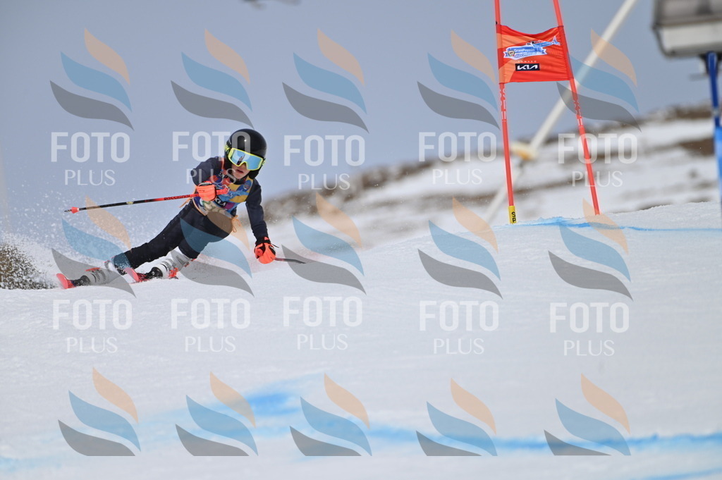 BGV_4221 | holidayphoto