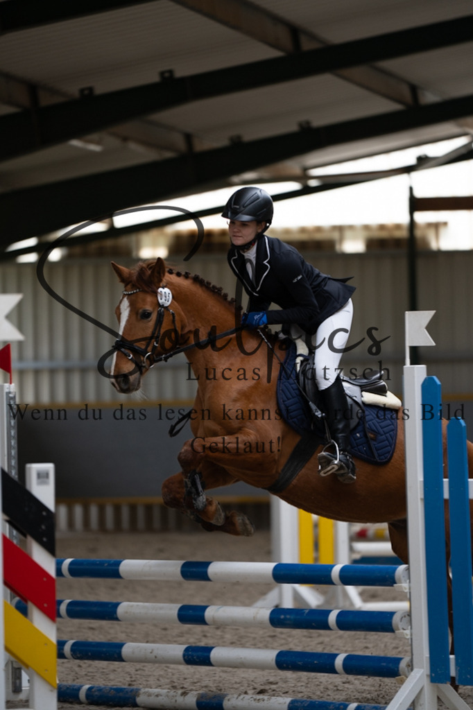 A7V03998 | Pferdefotograf