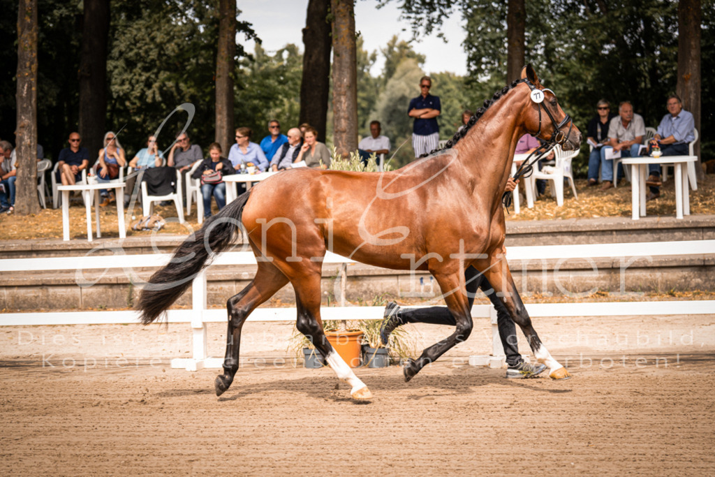 4.Fr00023 | Leoni Ertmer Photography - Realisiert mit Pictrs.com