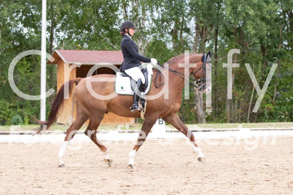 IMG_7235 | Creatify Fotografie