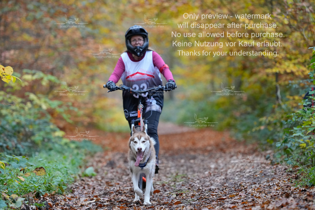 Scooter_So-104 | stephaniefillaphotographie - Realisiert mit Pictrs.com