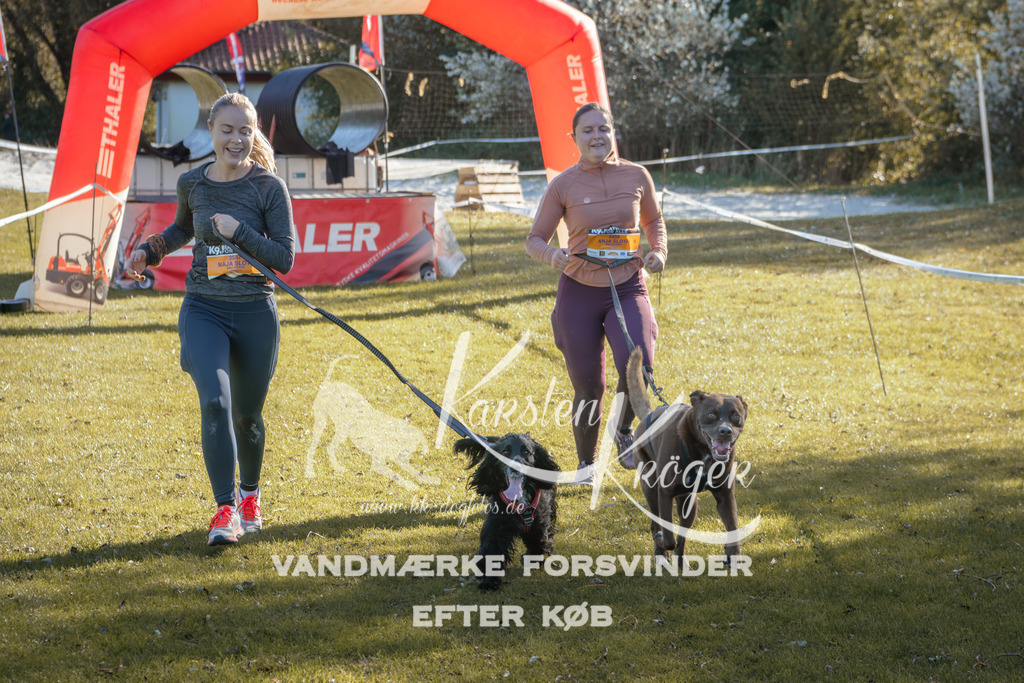 1214_ZZ95109 | kk-dogfotos