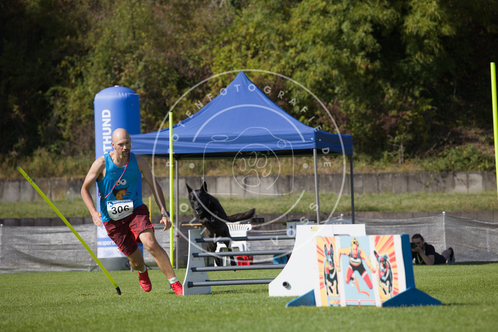 0L8A8165 | Hundefotografie, Tierfotograf, Pfotenfotografie, Fotoshooting Hund, Hunde Portrait, Hundesport, Hundeportraits, Heideshooting, Hunde, Sportfotograf, Hundefotograf, Turnierhundsport, THS,  - Realisiert mit Pictrs.com