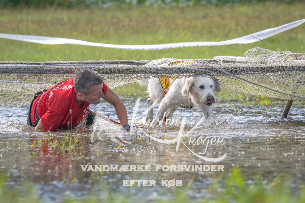 1156_ZZ90595 | kk-dogfotos