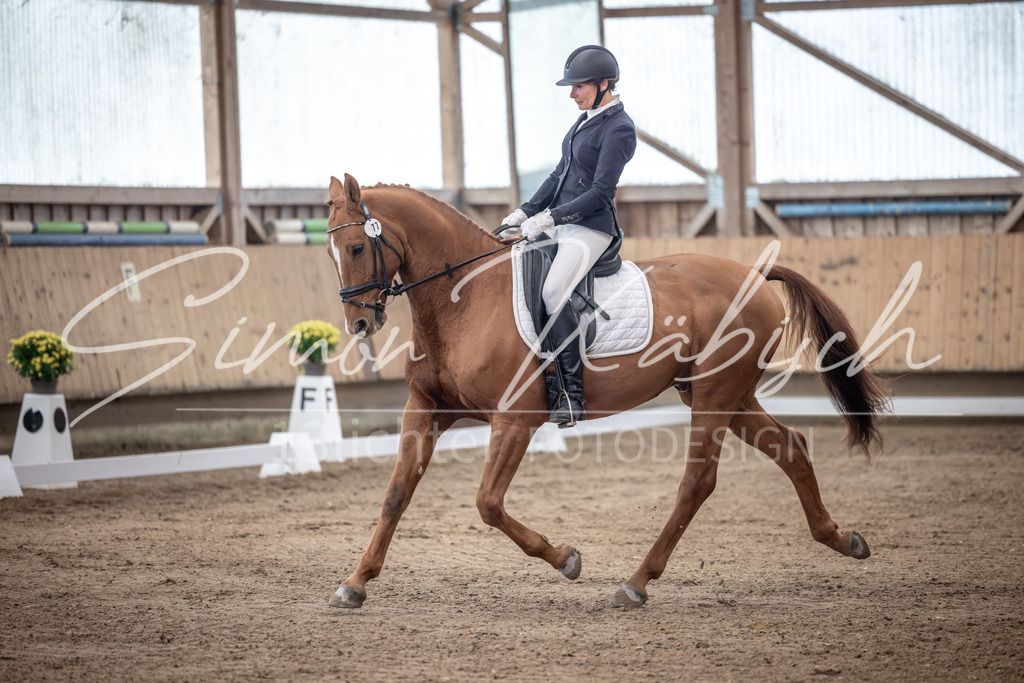 20251011-_3LI1337 | Tierfotografie Pferde, Hunde, Katzen, Haustiere.
Turnierfotografie Reitturniere, Reiten, Springreiten, Dressur in Hanau, dem Main-Kinzig-Kreis und dem Rhein-Main- Gebiet um Frankfurt