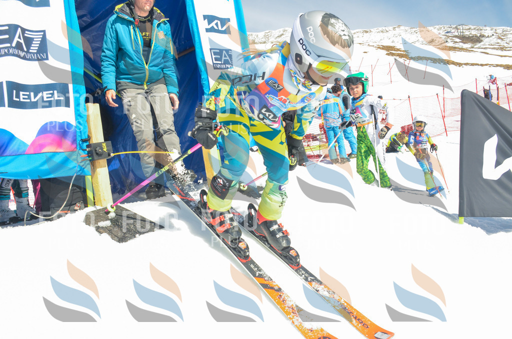 _ELE6160 | holidayphoto