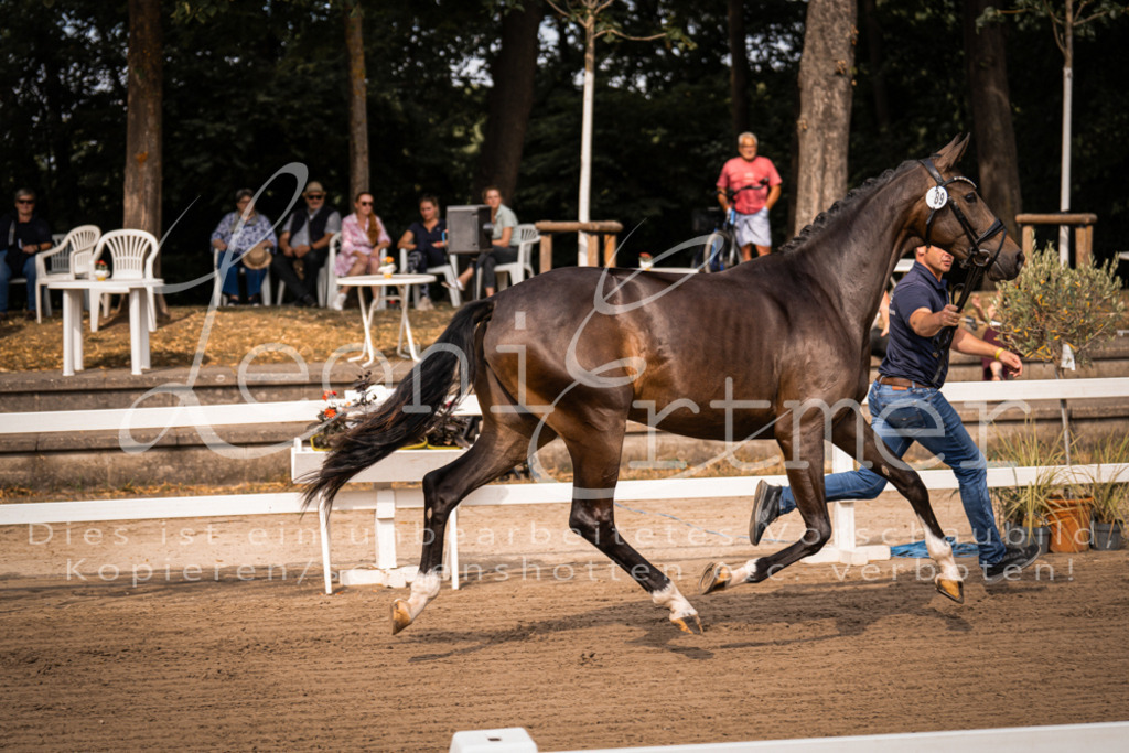 FrER00042 | Leoni Ertmer Photography - Realisiert mit Pictrs.com