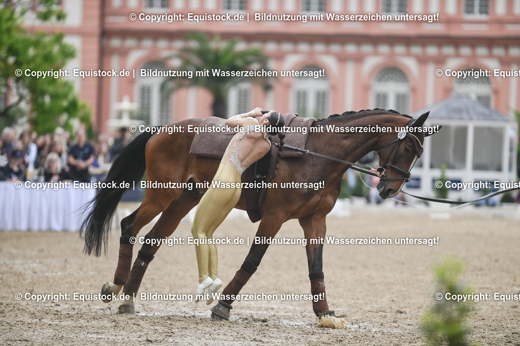 20240519_Voltige_0210 | Foto: Thomas Hartig