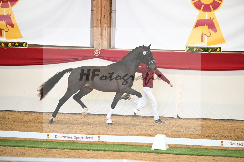 Kat.-Nr. 66 v. Fürstenball_Höchsmann_2250468 | hf-fotografie - Realisiert mit Pictrs.com