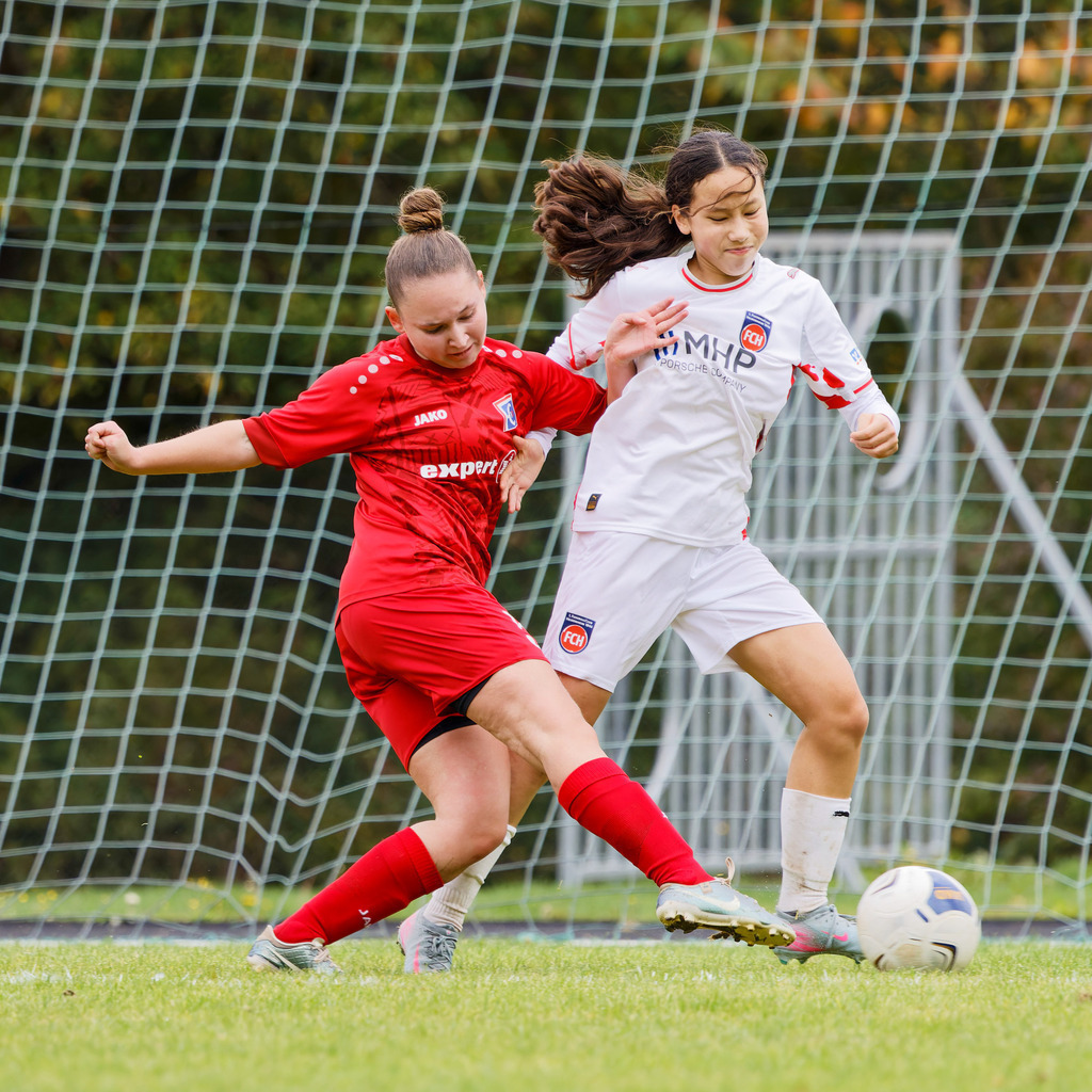 FCEFCH_251012_4683 | Fotopresso – Sportfotografie in Heidenheim & Umgebung. Professionelle Sportfotografie für unvergessliche Momente. Dynamische Action-Shots, emotionale Szenen & hochwertige Bilder. - Realisiert mit Pictrs.com