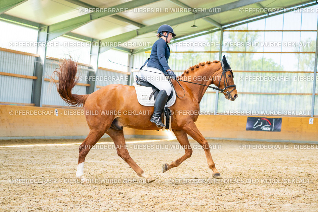 DSC07542 | Pferdegrafie