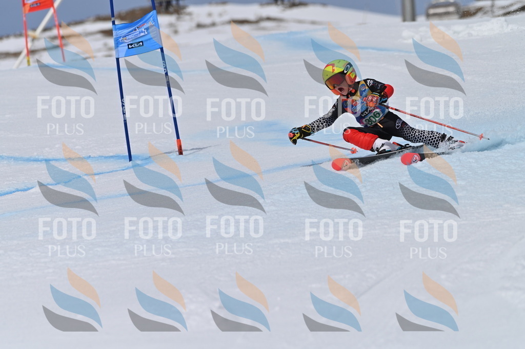 BGV_6064 | holidayphoto