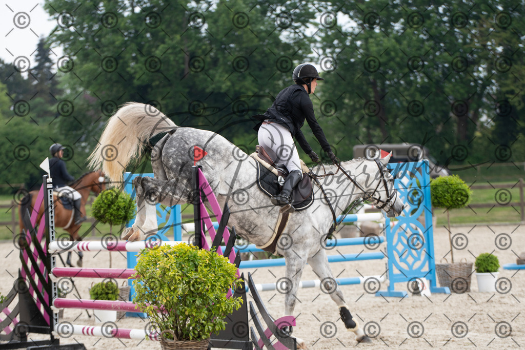 KPT_3585 | andre_photographic