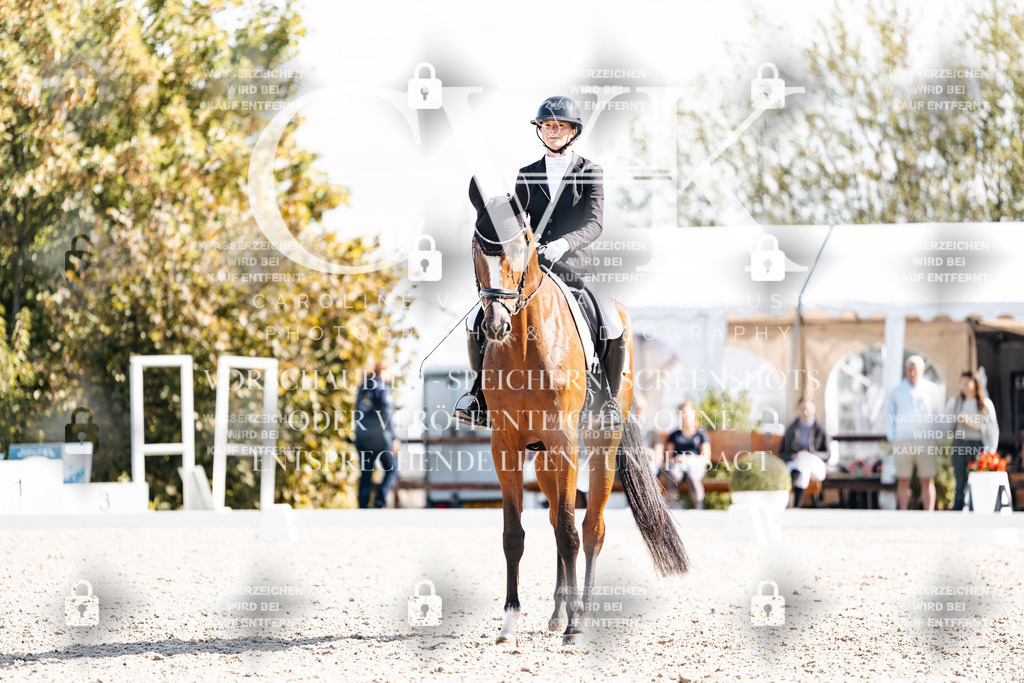 CK902263 | Turnierfotografie Pferdefotografie Trier Rheinland-Pfalz Pferdesport Reitsport Tierfotografie Sportfotografie Pferdevideo Pferdevideografie Equestrianvideography equestrianphotography  - Realisiert mit Pictrs.com