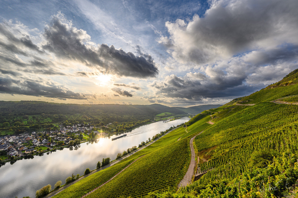 Wehlen und die Schleuse | Von den Graacher Weinbergen aus