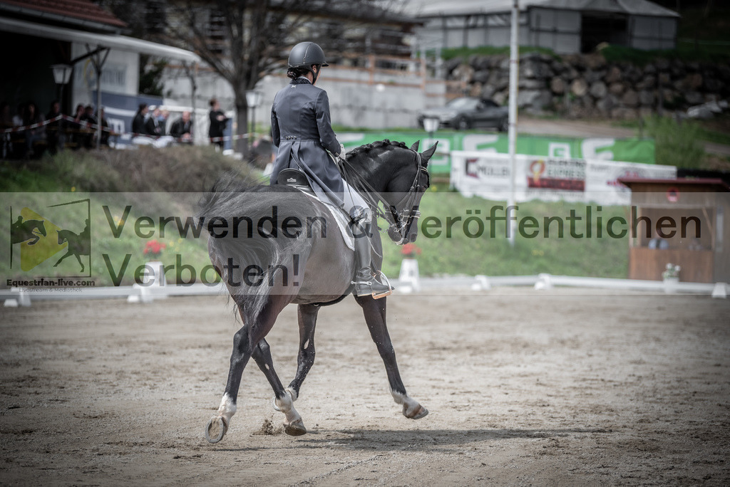 DSC_2702 | equestrian-live-com