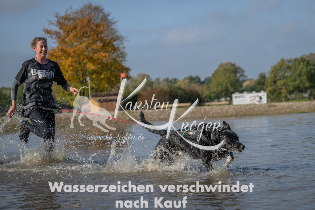 1109_ZZ91804 | kk-dogfotos