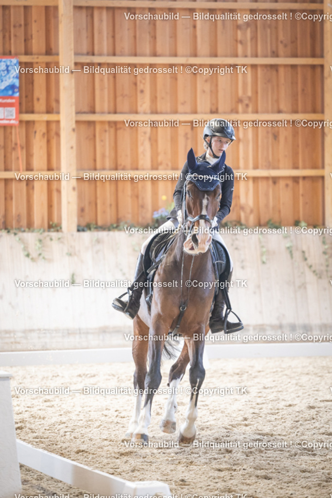 _D5A5635 | Emotionale Pferde- & People-Fotografie rund um Heidelberg, Leimen & Umgebung. Natürliche Fotos von Pferd, Mensch & Familie. Jetzt Termin sichern!