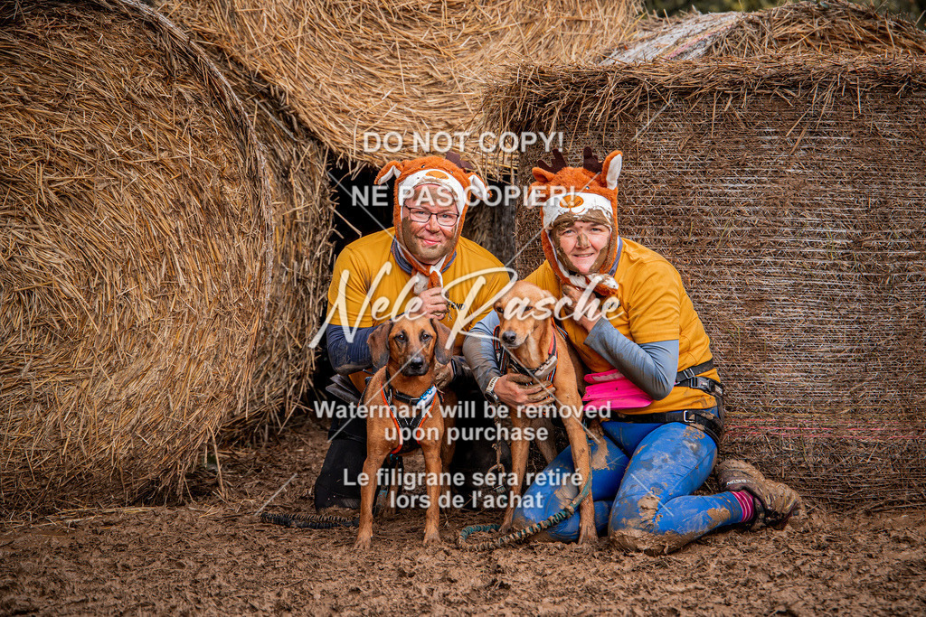 nelerasche_Hunsrück_So09-11_397 | nelerasche