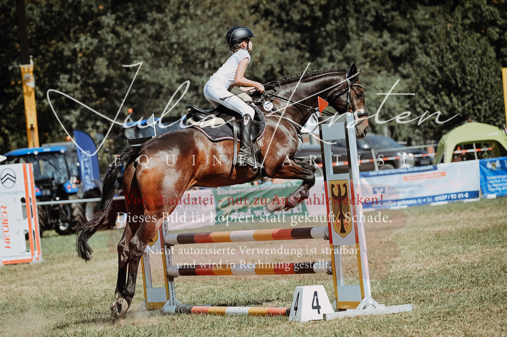 DSC_9831 | Pferde- und Turnierfotografie in Westsachsen. Pferdeportraits, Auftragszeichnungen und intuitive Kunst.